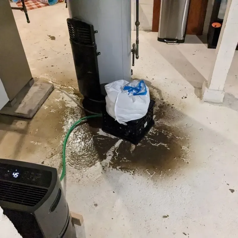 Sewage Backup Cleanup Service in Calumet, PA